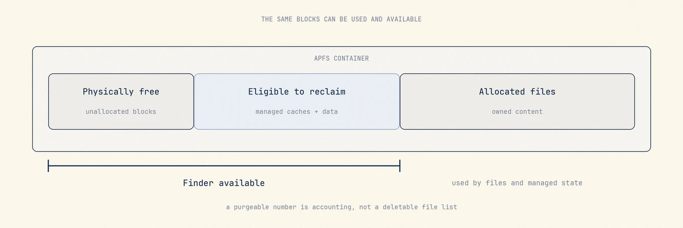 APFS container capacity is split into physically free space, reclaimable caches and managed data, and allocated files; Finder available combines free and eligible reclaimable space while command-line tools report different layers.