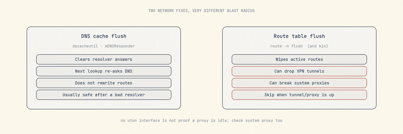 DNS cache flush only clears resolver answers; route table flush can drop VPN tunnels and system proxies.