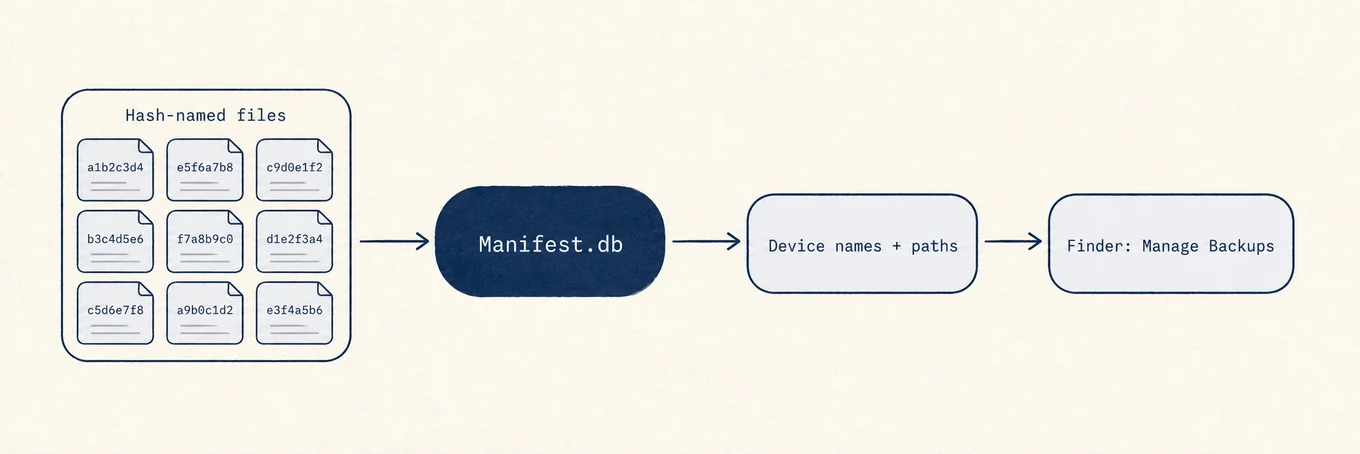 A grid of hash-named backup files with a Manifest database mapping them to real device names and paths, opaque to the Storage bar but readable by Finder's Manage Backups.