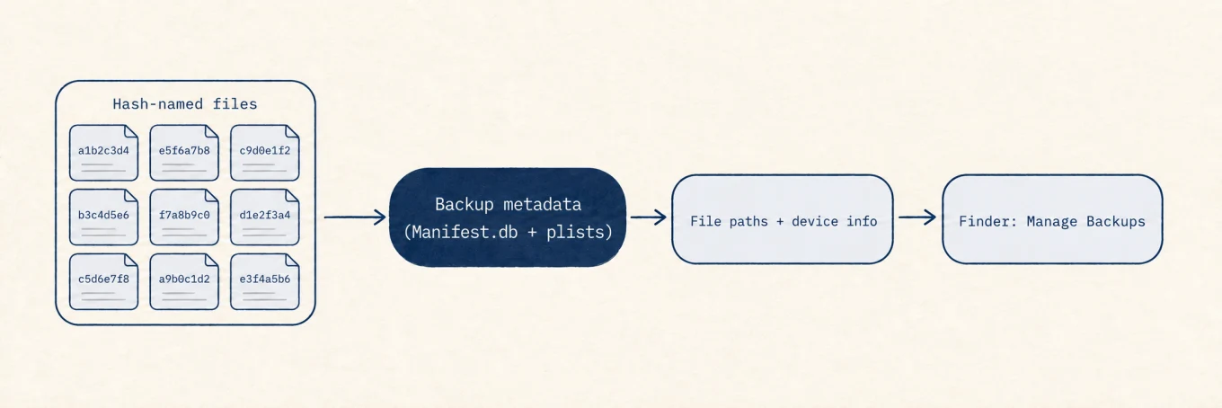 Manifest.db maps hash-named backup files to their original paths; separate backup metadata provides the device names and dates shown by Finder's Manage Backups.