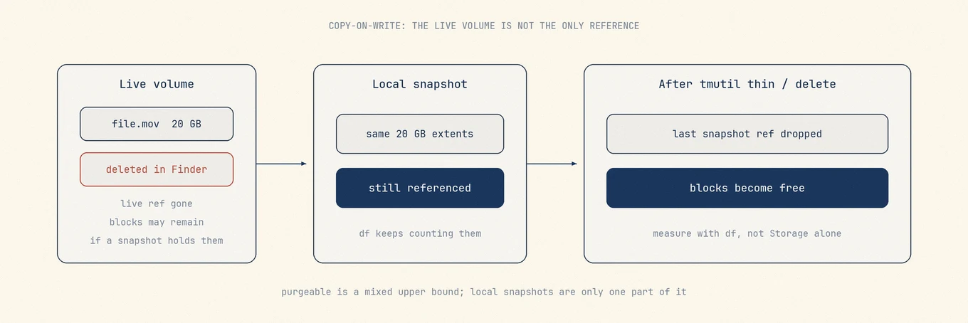 A deleted file on the live volume still occupies blocks while a local snapshot references them; only after the snapshot is thinned do the blocks become free.