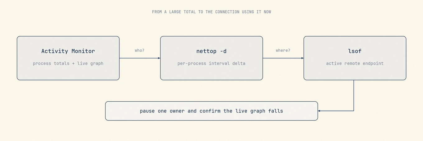 Activity Monitor identifies cumulative process totals, nettop measures live per-process deltas, and lsof maps the selected process to active remote endpoints.