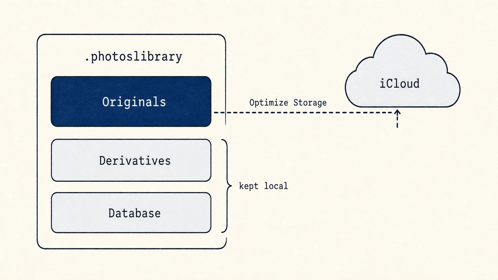 Inside the photo library package are originals, rendered derivatives, and a database, with iCloud optimization reducing the originals stored locally.