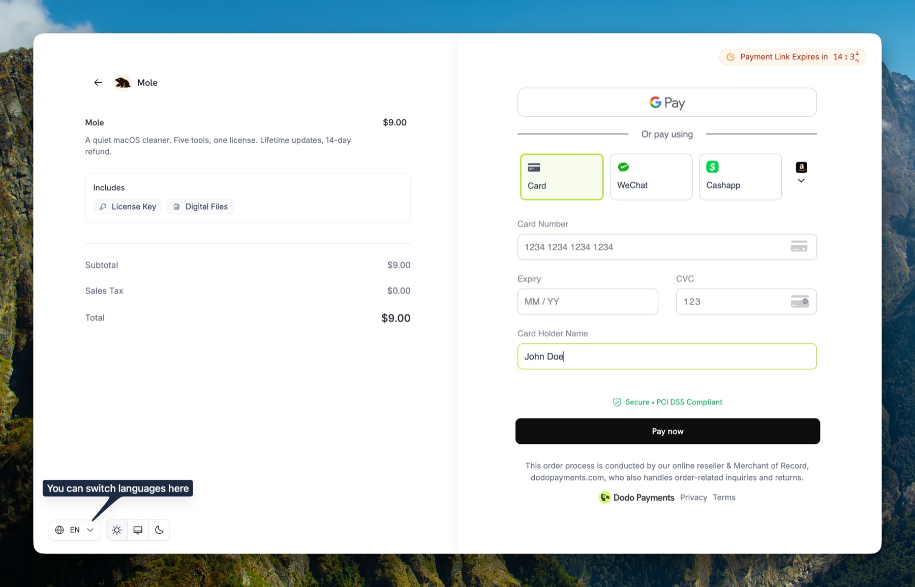 Dodo Payments payment page